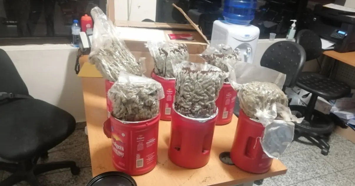 Encuentran envases llenos de marihuana en terminal AILA