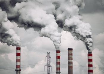 ONU advierte que la humanidad debe reducir contaminación