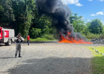 Incineran más de 470 kilogramos de distintas drogas ocupadas en varias provincias