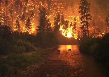 30,000 personas evacuadas por incendio en Los Ángeles
