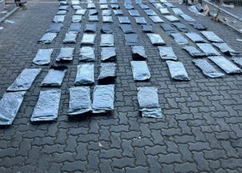 DNCD ocupa 95 paquetes de marihuana en puerto de Haina