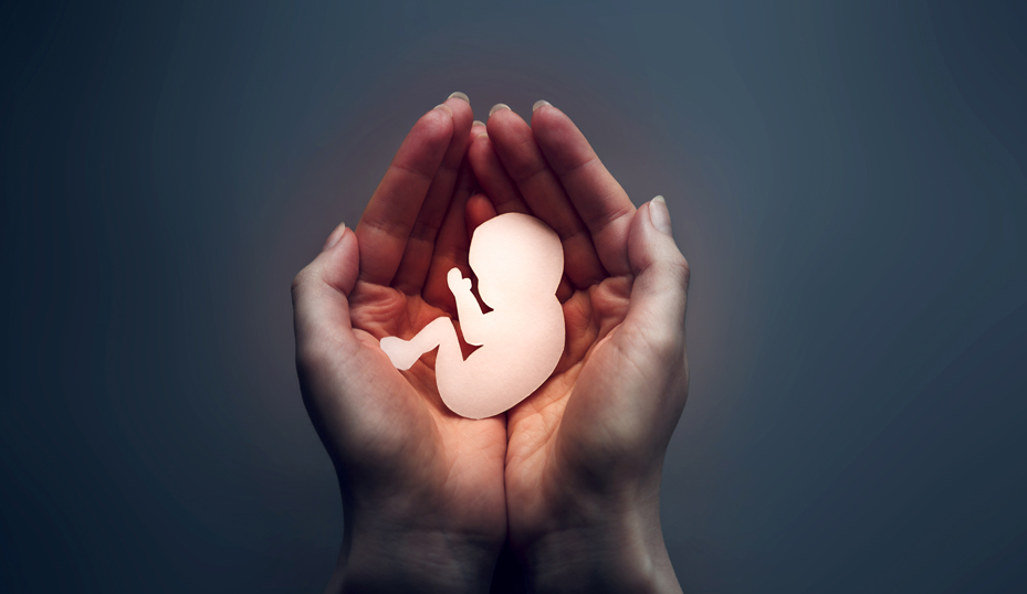 El Parlamento británico aprueba la despenalización del aborto en Inglaterra y Gales