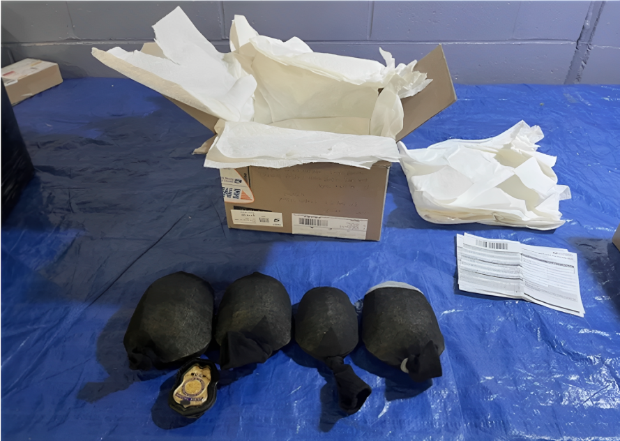 ¡Contrabando animal en NY! Hombre detenido con 850 tortugas rumbo a Hong Kong