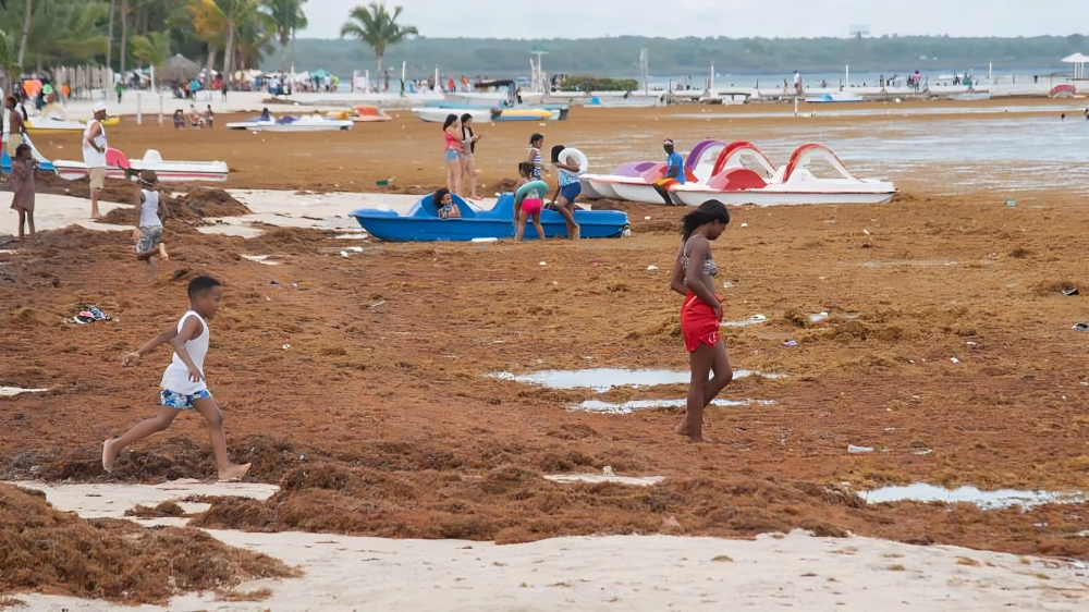 República Dominicana triunfa en la ONU con resolución sobre sargazo
